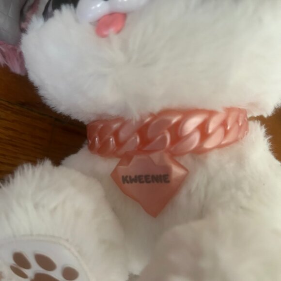 Present Pet Kweenie Puppy - Picture 5 of 5